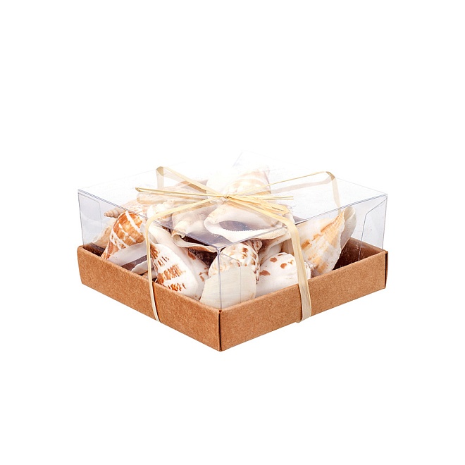 Ракушки морские в коробке №4, 130г