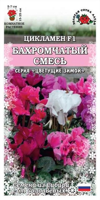 Цикламен Бахромчатый смесь 3 шт /ЗС