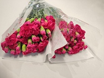 Гвоздика куст. Пинк Барбара (К) дл.60 20шт