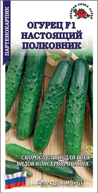 Огурец Настоящий полковник F1 партенокарп. раннесп. 0,15г /ЗС