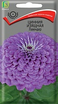 Цинния изящная Лавендер 0,4г /Поиск