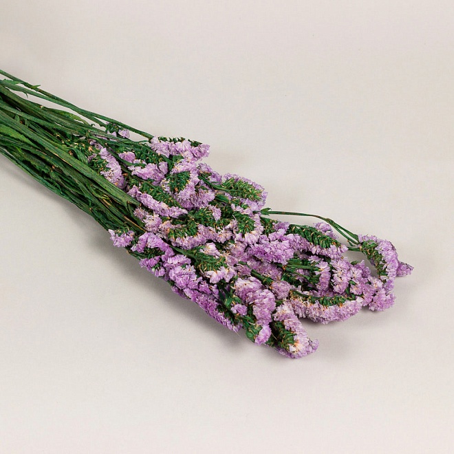 Статица сухоцвет, h60-70см, 3-5шт, светло-сиреневый