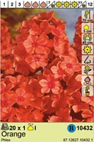 Флокс Оранж 1шт*