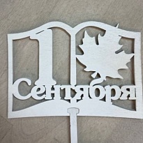 Топпер 1 сентября Книга белый