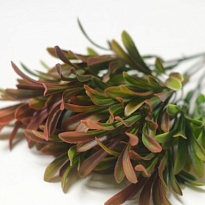 Зелень ветка искусственная h30см микс