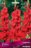 Гладиолус Бонфайр 10/12 5шт