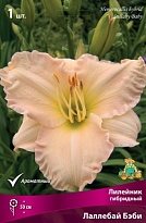 Лилейник гибридный Лаллебай Бэби 1шт