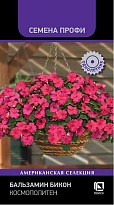 Бальзамин Бикон Космополитен 7шт /Поиск