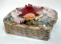 Ракушки морские №8 Звезда Джунглей 17*17*5см