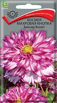 Космея Махровая кнопка Биколор Виолет 0,1г /Поиск