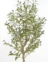 Олива искусcтвенная h170см зеленый