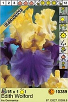 Ирис Эдит Волфорд герм. 1шт*