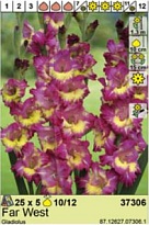 Гладиолус Фар Уэст 10/12 5шт*