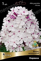 Флокс метельчатый Нирвана 1шт