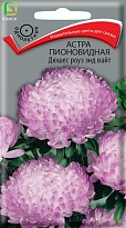Астра пионовидная Дюшес Роуз энд Вайт 0,3г /Поиск