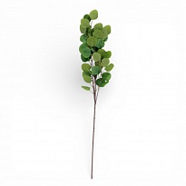 Зелень ветка искусственная эвкалипт h90см зеленый