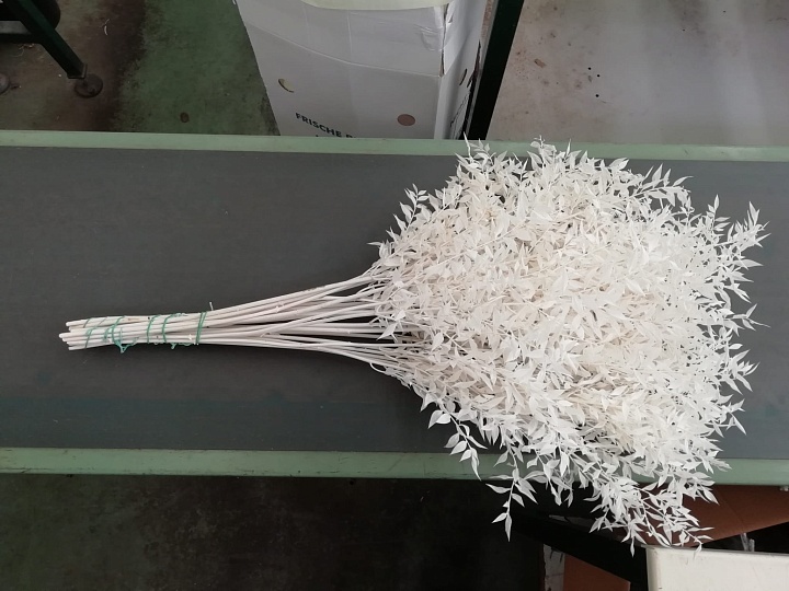 Рускус выбеленный  пучок 1шт