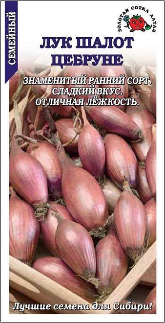 Лук шалот Цебруне ранний 0,3г /ЗС