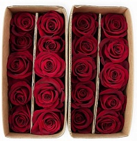 Роза Aimu (К) дл.60 10шт