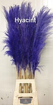 Кортадерия Paint Hiacint дл.120 1шт