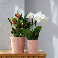 Кашпо Polnix Barcelona d16 h16см керамика розовый