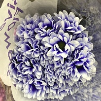 Хризантема кустовая Chic Purple Eye крашен 5шт