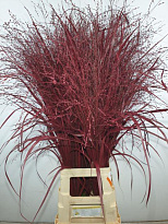 Зелень (Grass) Paint дл.90 10шт