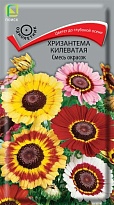 Хризантема килеватая Смесь окрасок 0,3г /Поиск