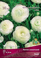 Лютик азиатский Вайт 7/8 10шт