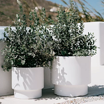 Кашпо Prosperplast Heos d30 h28см 10л с вкладкой пластик белый