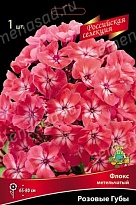 Флокс метельчатый Розовые губы 1шт