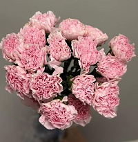 Гвоздика Одноголовая Pink Beauty (К) дл.65 20шт