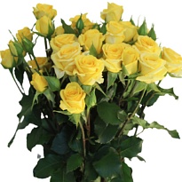 Роза кустовая Golden Blossoms дл.60 10шт