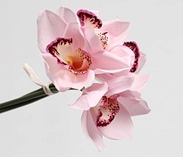 Орхидея искусственная 4 ветки h24,5см розовый