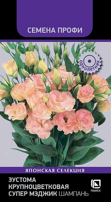 Эустома (Лизиантус) Супер Мэджик Шампань 5шт /Поиск