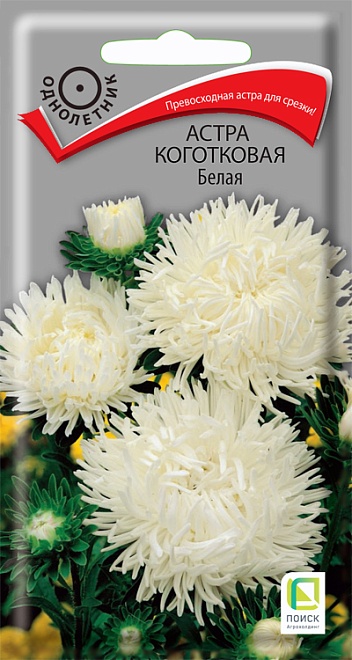Астра коготковая Белая 0,3г /Поиск