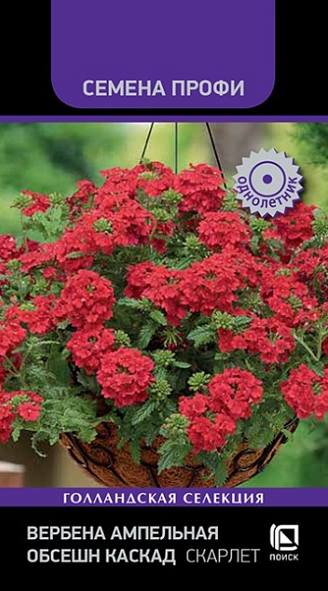 Вербена ампельная Обсешн Каскад Скарлет 7шт /Поиск