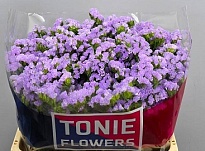 Статица Tonie Lavender 5шт