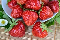 Земляника Фейерверк (ОКС) 5шт/кор