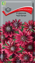 Рудбекия Черри бренди 0,1г /Поиск