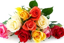 Роза Spring Roses Spriro Mix дл.40 25шт