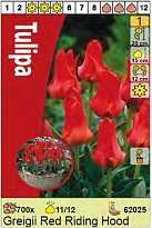 Тюльпан Ред Райдинг Худ грейга 11/12 5шт в сетке