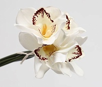 Орхидея искусственная 4 ветки h24,5см белый