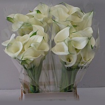 Калла White Ideal 10шт (A)
