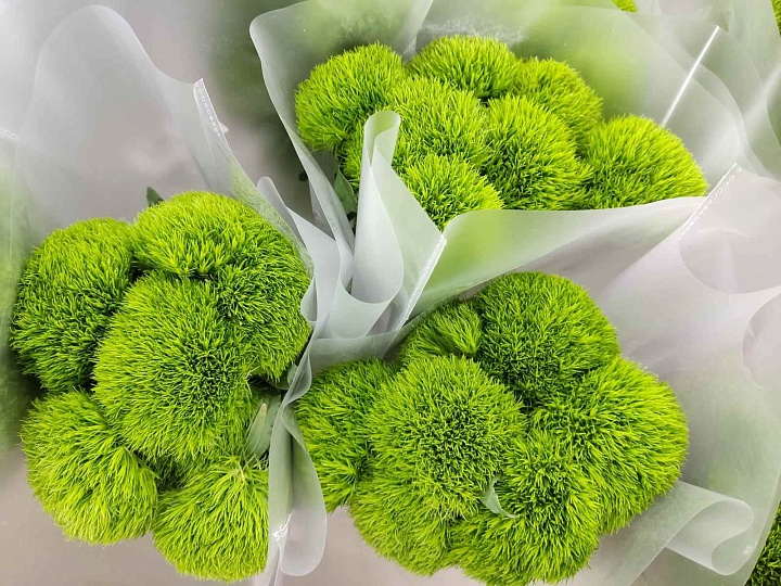 Гвоздика Одноголовая Kiwimellow (К) дл.65 10шт