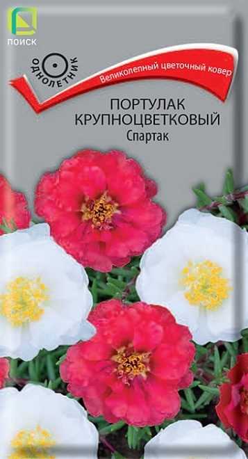 Портулак Спартак крупноцв. 0,1г /Поиск