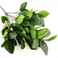 Зелень, букет искусственный, пеперомия, h45см 