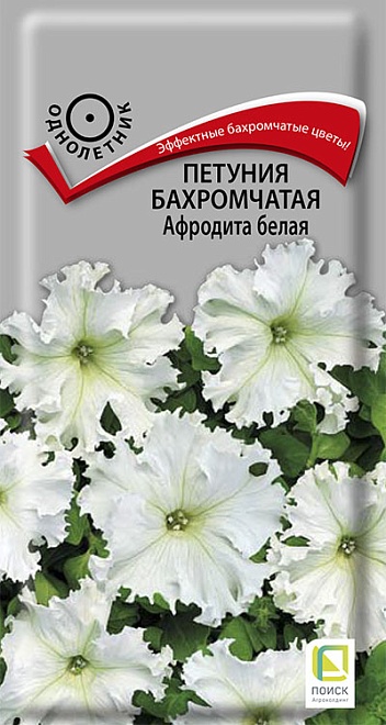 Петуния Бахромчатая Афродита белая 10шт /Поиск