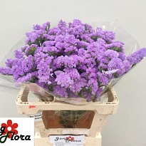 Статица Happy Wings 5шт