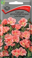 Годеция крупноцветковая Сибил Шервуд 0,2г /Поиск